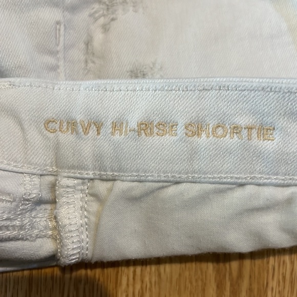American Eagle Curvy Hi-Rise Shortie - Picture 6 of 7